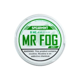 Spearmint Dry Mr Fog Nicotine Pouches