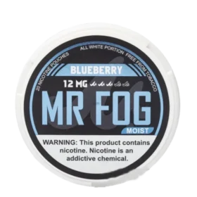 Blueberry Moist Mr Fog Nicotine Pouches