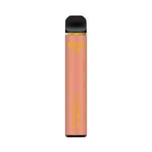 Mr Fog Max 1000 Puffs | Compact Disposable Vape