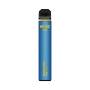 Mr Fog Max Blueberry On Ice – 1000 Puffs - Image 1