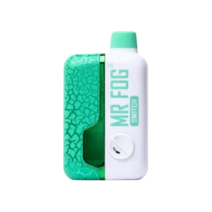 Mr Fog Switch SW15000 Classic Mint Ice - Image 1