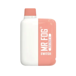 MR FOG SWITCH 5500 PUFFS PEACH APRICOT ICE - Image 1