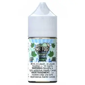 Cool Mint - Mr Fog Synthetic Nicotine Salt E-Liquid - 30Ml - Image 1