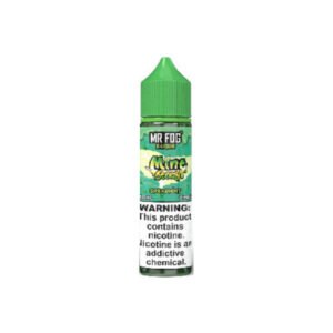 Spearmint - Mr Fog E-Liquid Mint Steezy Series - 60Ml - Image 1