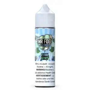Cool Mint - Mr Fog Synthetic E-Liquid -100Ml - Image 1
