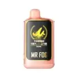 Peach Mango Mr Fog Nova 36000 Puffs Disposable Vape Peach Steezy